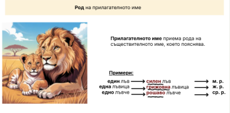 Род на прилагателното име